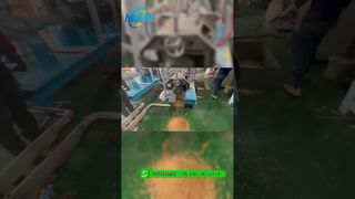 ক্যামেরুনিয়ান গ্রাহকদের জন্য 500-800 kg/h টুইন স্ক্রু ভাসমান ফিশ ফিড মেশিন পরীক্ষা