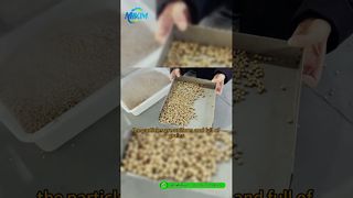DGP-85 Fish Feed Pellet Production Line | ভূমিকা এবং সম্পূর্ণ প্রক্রিয়া ডেমো#fishfeedproductionline