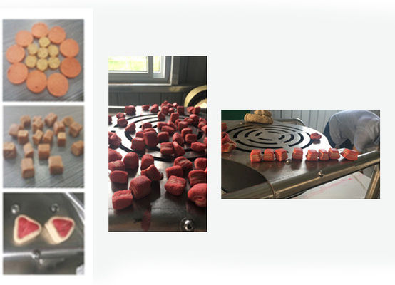 জার্কি ট্রিটস / পোষা প্রাণীর খাদ্য প্রক্রিয়াকরণ লাইন / কোল্ড এক্সট্রুশন পোষা খাদ্য তৈরির মেশিন