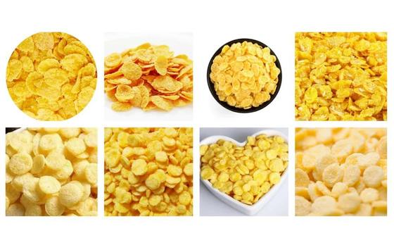 স্টেইনলেস স্টিল পাফ স্নাক ফুড এক্সট্রুডিং মেশিন ডাব্লুইইজি মোটর সহ