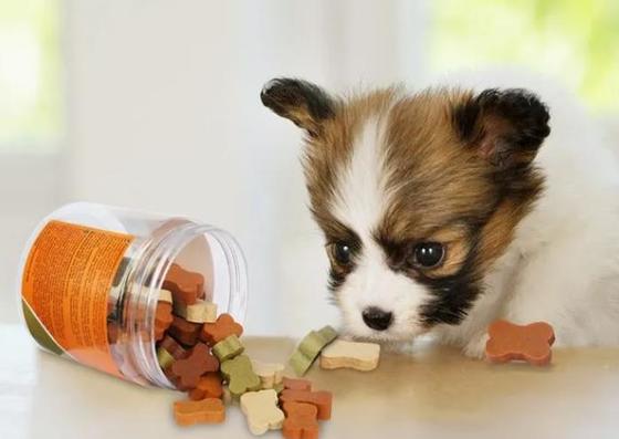 কুকুরের যত্ন দাঁত চিবানো স্ন্যাক্স পোষা ট্রিট মেশিন 380 ভি বা কাস্টমাইজযোগ্য ভোল্টেজ