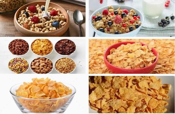 নতুন স্টেইনলেস স্টিল কর্ন ফ্লেক্স প্রক্রিয়াকরণ লাইন টুইন স্ক্রু এক্সট্রুডার মেশিন