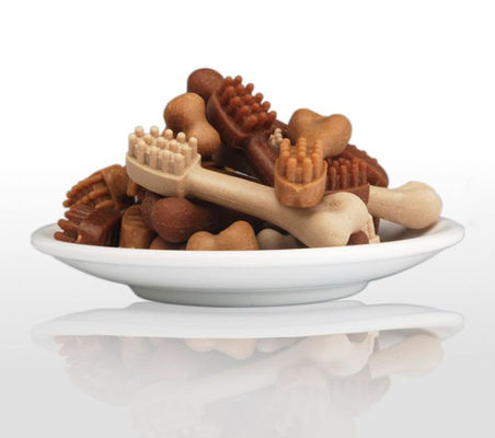 সিই সঙ্গে চীন ইনজেকশন কুকুর স্ন্যাক মোল্ডিং মেশিন